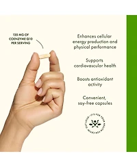 Swanson CoQ10 120 mg Heart and Cardiovascular Health, Energy Support, Maintains Coenzyme Q10 Levels, 100 Capsules