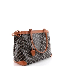 Pre-Owned Goyard Pm Bellechasse Bag Coated Canvas