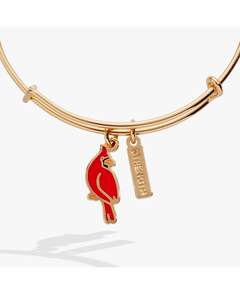 Alex and Ani Strength' Cardinal Duo Charm Bangle Bracelet