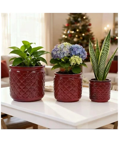 Clihome Set of 3 Handmade Ceramic Flower Pot