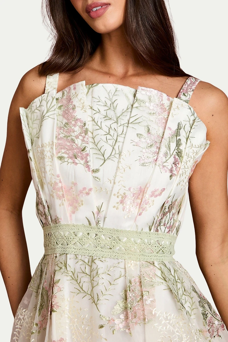Coast Women's Fan Bodice Embroidered Mesh Midi Dress