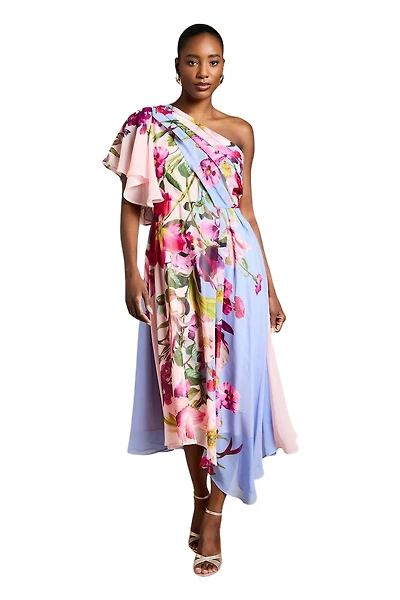 Coast Women's Floral Printed Chiffon Dress