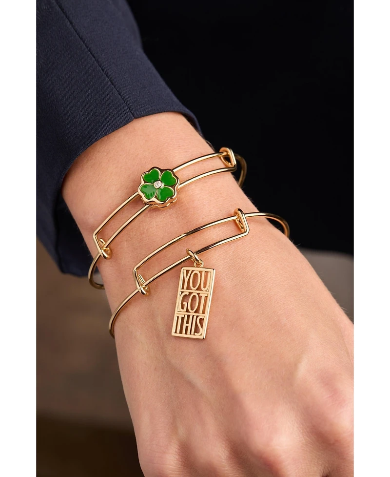 Alex and Ani Four-Leaf Clover Slider Charm Bangle