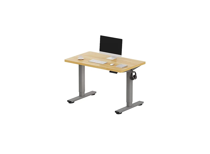 FlexiSpot E2 40" x 24" Electric Height-Adjustable Standing Desk