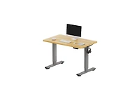 FlexiSpot E2 40" x 24" Electric Height-Adjustable Standing Desk