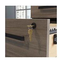 Sauder Affirm Commercial Office File Cabinet, Hudson Elm finish
