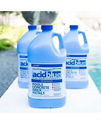 Champion Acid Muriatic Acid for Removal of Stains on Driveways (4 Pack