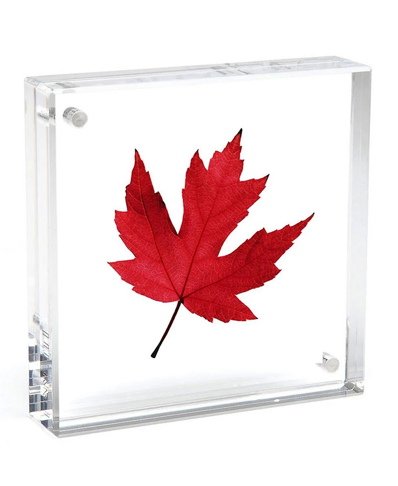 Canetti Original Magnet Frame, 2x2", Clear 6-Pack