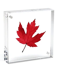 Canetti Original Magnet Frame, 2x2", Clear 6-Pack