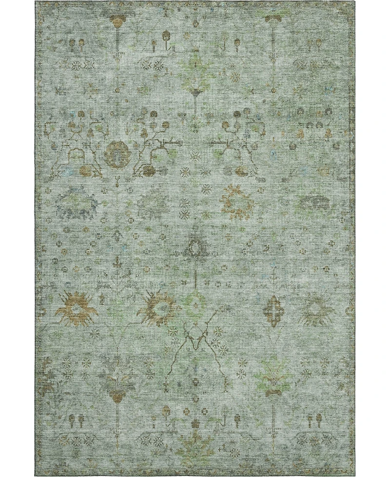 Addison Mayfield AMF1972 3'x5' Area Rug