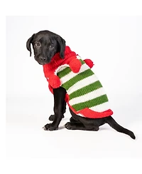 Chilly Dog Christmas Elf