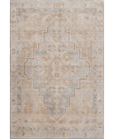 Addison Mayfield AMF1918 8'x10' Area Rug