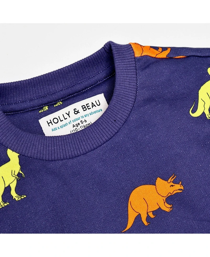 Holly and Beau Boys Dinosaur Cotton Crew Neck Sweatshirt