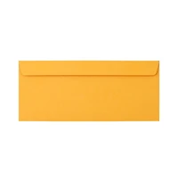 Gnuadz 10 Business Commercial Envelopes Manila