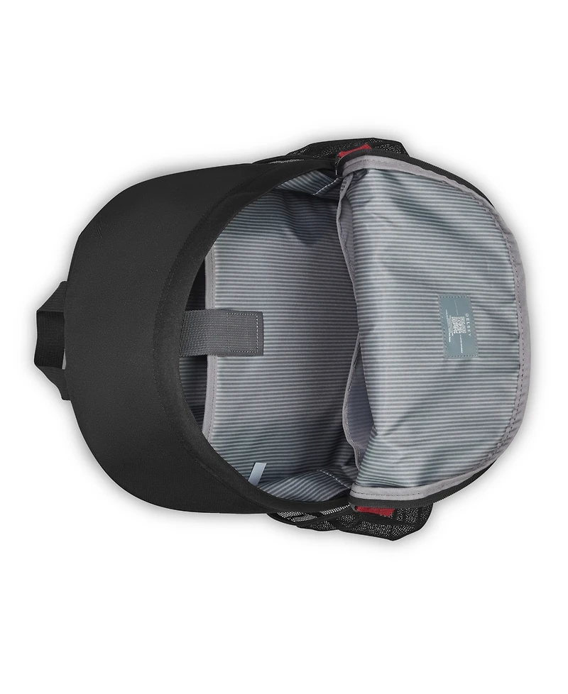 Delsey Paris Dylan 17.25" Backpack