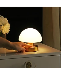 Zoe Bohemian Farmhouse Iron Rechargeable Integrated Led Table Lamp
