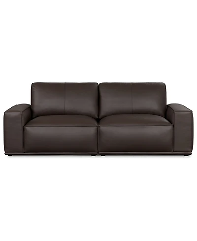 Paitlyn 2-Piece Leather Sofa