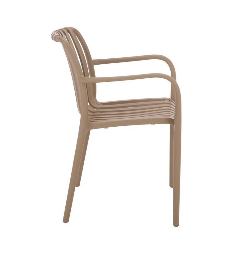 Augusta Home Holly Outdoor Dining Armchair (Set of 2)
