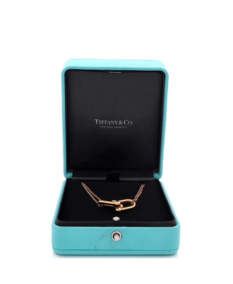 Pre-Owned Tiffany & Co HardWear Double Link Pendant Necklace