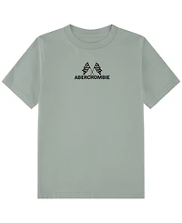 abercrombie kids Boys' 5-16 Short-Sleeve T-Shirt