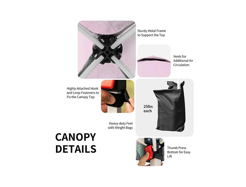 Boyel Living 6.6 x 6.6 Feet Outdoor Pop-up Canopy Tent with Roller Bag