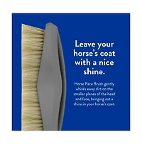 Wahl Professional Animal Equine Grooming Face Horse Brush