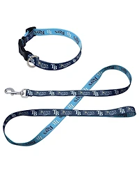 Wincraft Tampa Bay Rays Pet Leash and Collar Set