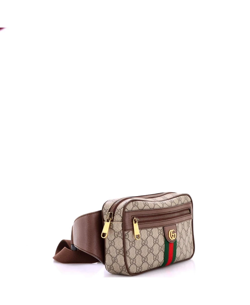 Pre-Owned Gucci Medium Ophidia Belt Bag Gg Coated Canvas