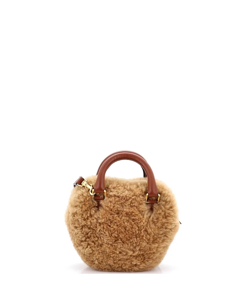 Pre-Owned Celine Medium Heart Bag Shearling with Leather