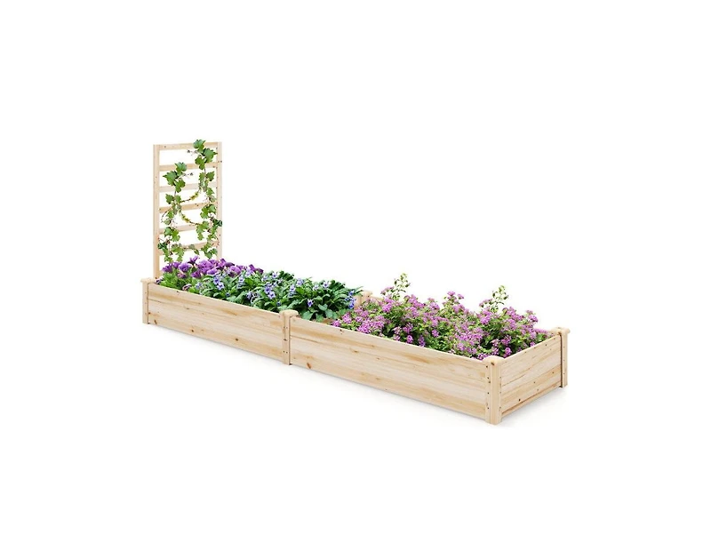 Lucky One Raised Garden Bed with Planter Box and Trellis for Climbing Plants