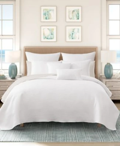 Salt Life Stillwater Solid Quilt Sets