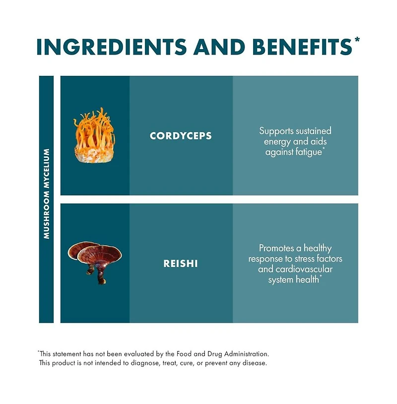 Host Defense CordyChi Capsules - Energy & Immune Support Supplement