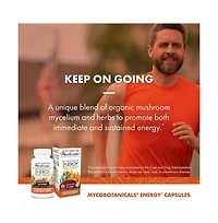 Host Defense MycoBotanicals Energy Capsules - Energy & Respiratory Support Supplement - Herbal Green Tea Capsules