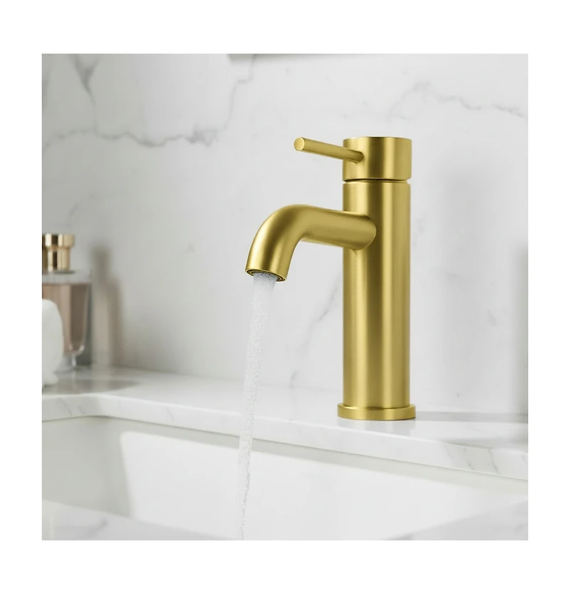 Phying Single Handle Bathroom Faucet Lavatory Faucet Stainless Steel Single Hole-T10