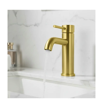 Phying Single Handle Bathroom Faucet Lavatory Faucet Stainless Steel Single Hole-T10