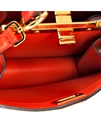 Pre-Owned Fendi Petite Peekaboo ISeeU Bag Leather