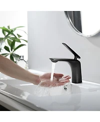 Phying Single Hole Bathroom Sink Faucet with Pop Up Drain and Water Supply Hose, Single Handle Bathroom faucet