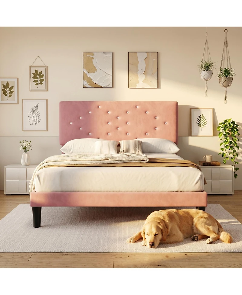 homfan Modern soft Upholstered Queen Platform Bed Frame, Tufted Headboard, Sturdy Wood Slats, No Box Spring Needed, Easy Assembly