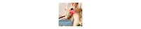 LifePro Infrared & Red Light Therapy Device – Portable Pain Relief for Joints & Muscles with 3 Wavelengths & Inflammation Reduction