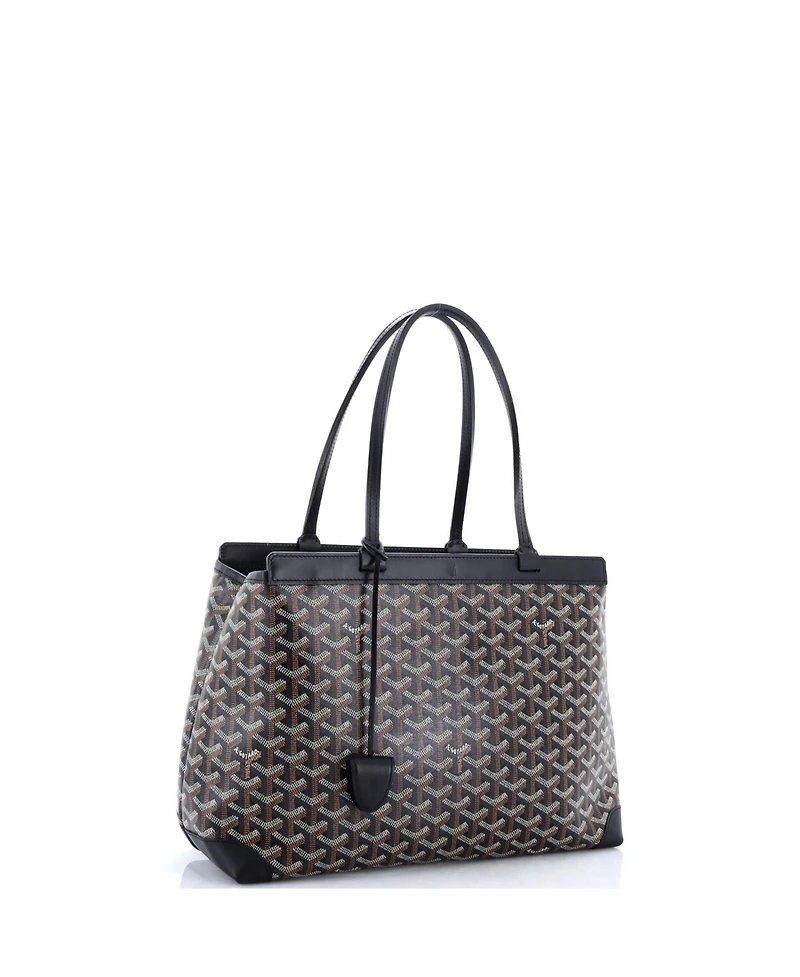 Pre-Owned Goyard Pm Bellechasse Bag Coated Canvas