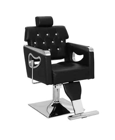 homfan Salon Styling Chair with Hydraulic Lift, 360 Swivel, Reclining Backrest, Adjustable Headrest, Metal Base, 330 lb Capacity