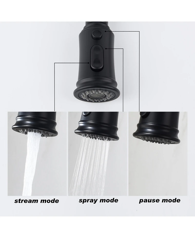 Phying Kitchen Faucet with Pull Out Spraye
