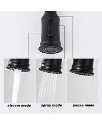 Phying Kitchen Faucet with Pull Out Spraye