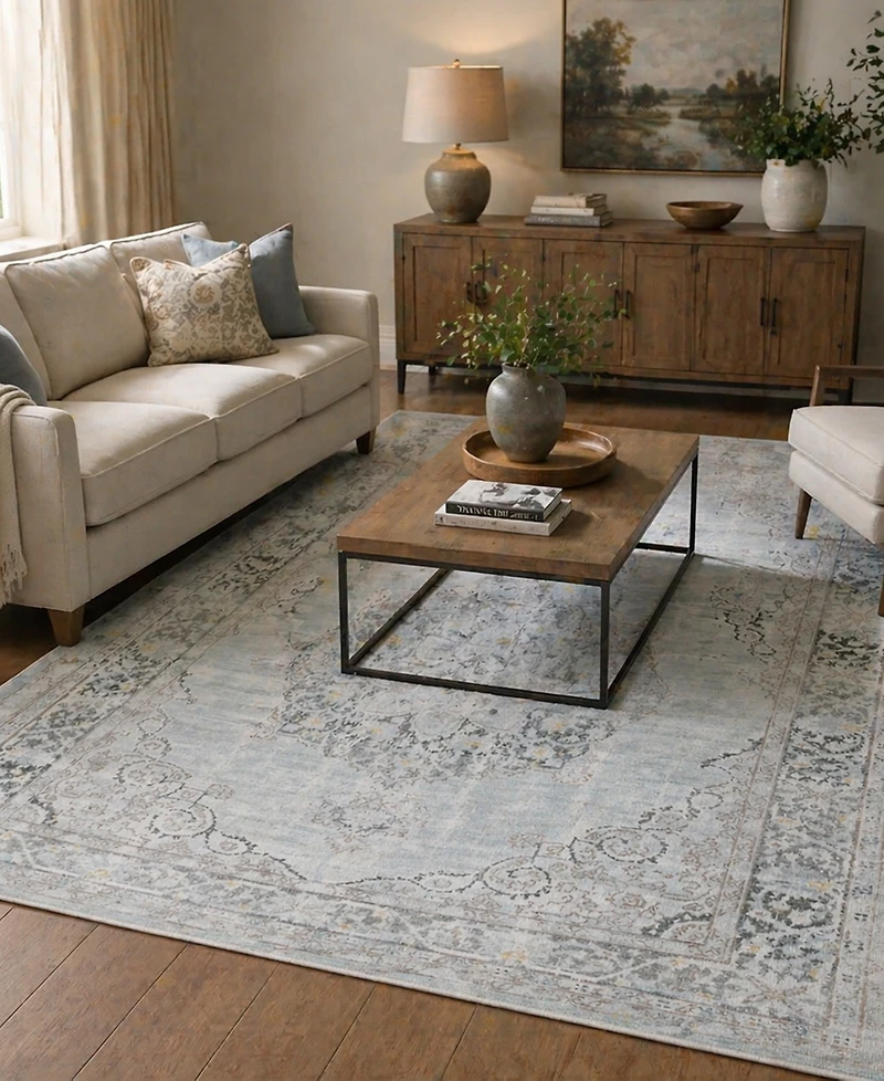 Amer Rugs Century Cen-21 Aqua 3'11" x 5'11" Area Rug