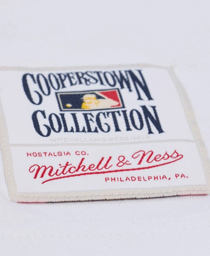 Mitchell & Ness Men's White New York Mets Cooperstown Collection Arctic T-Shirt