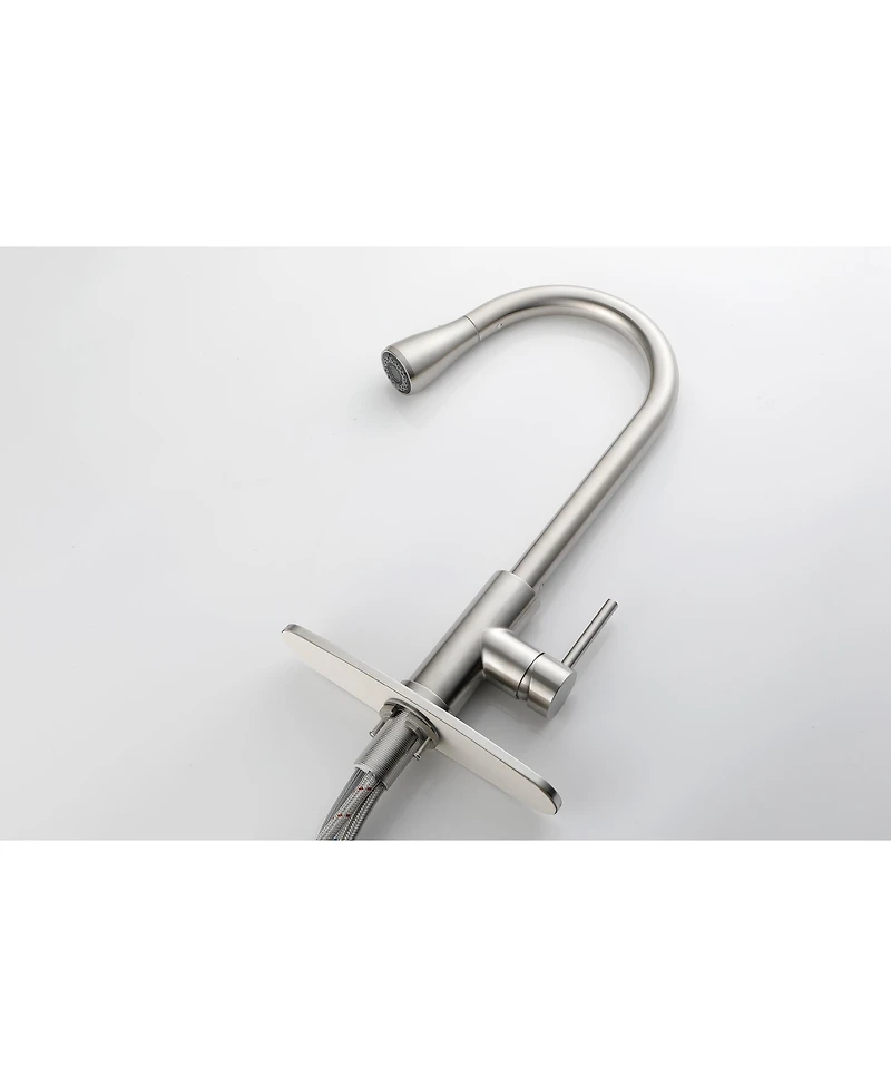 Phying Single Handle Kitchen Sink Faucet with Pull Out Sprayer