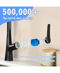 Phying Professional Kitchen Faucet 3 Function 360 Sprayer One Touch Switching FastConnect
