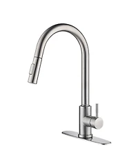 Phying Touch Kitchen Faucet with Pull Down Sprayer