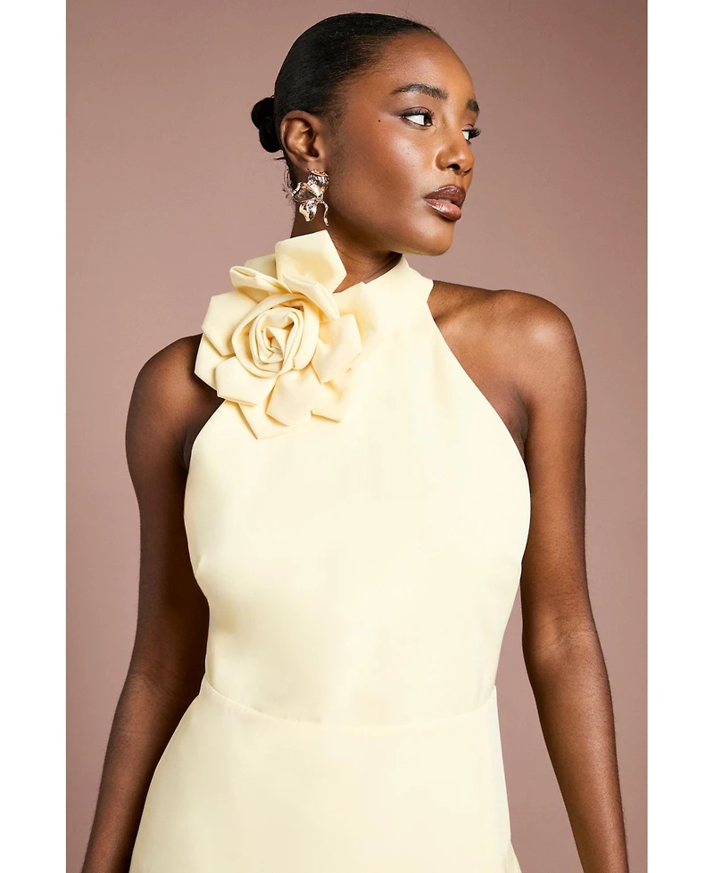 Coast Women's Corsage High Neck Midi Dress