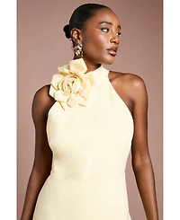 Coast Women's Corsage High Neck Midi Dress